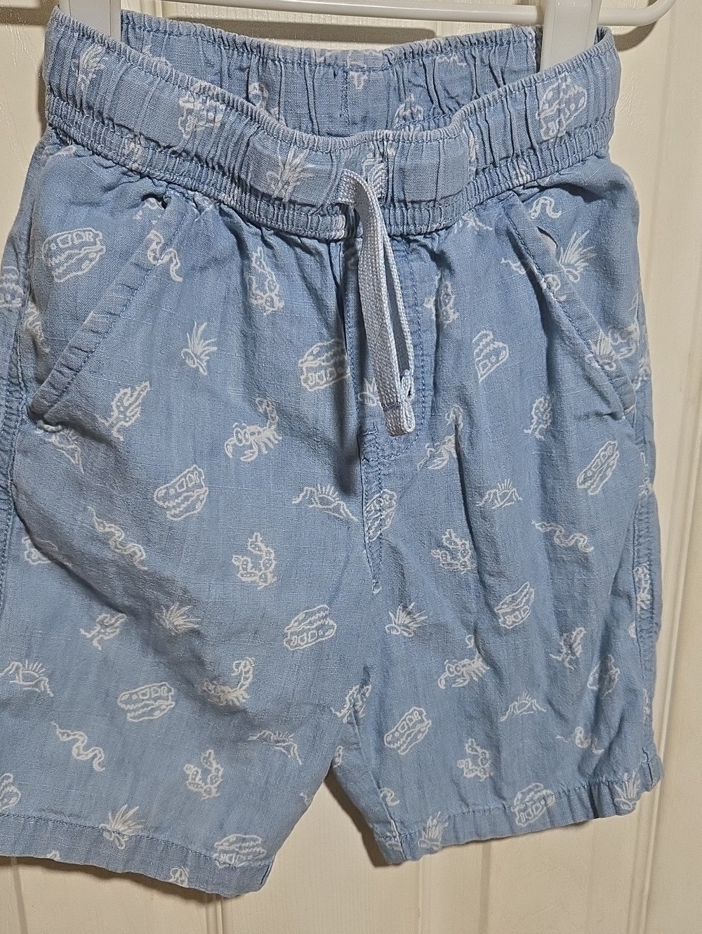 Garanimals Light Blue Drawstring Shorts with White Desert Motif